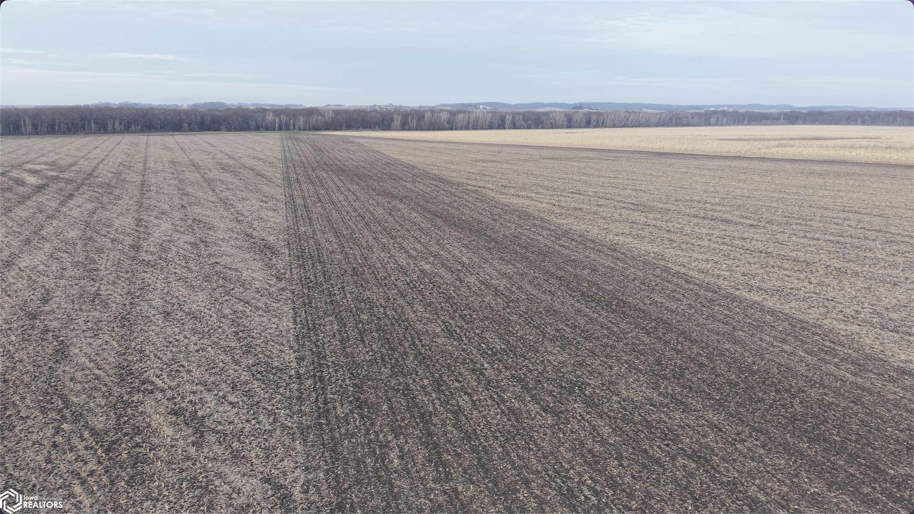 32239 Orchid Lane, Parkersburg IA 50665