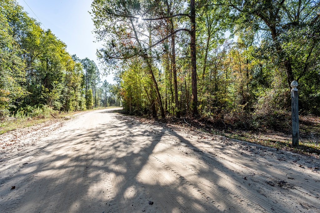 19X Largemouth Drive, Sylvester, Georgia image 29
