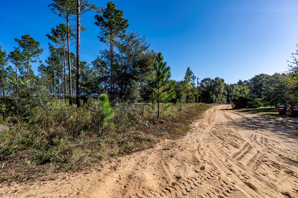 19X Largemouth Drive, Sylvester, Georgia image 30