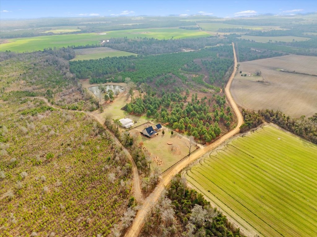 Blue Springs Road, Sylvester, Georgia image 12
