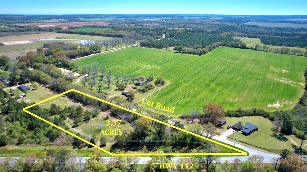 1140 Cut Road, Baconton, Georgia image 2