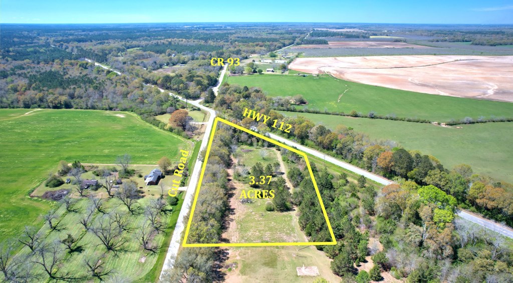 1140 Cut Road, Baconton, Georgia image 5