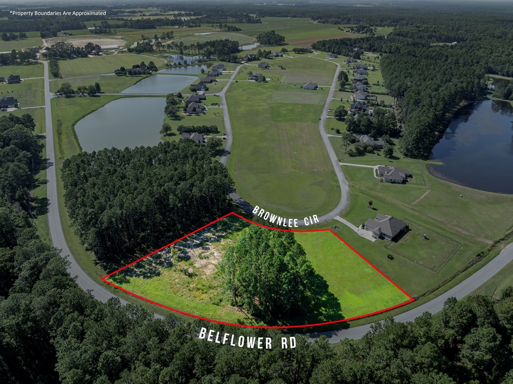 Brownlee Circle, Tifton, Georgia image 3