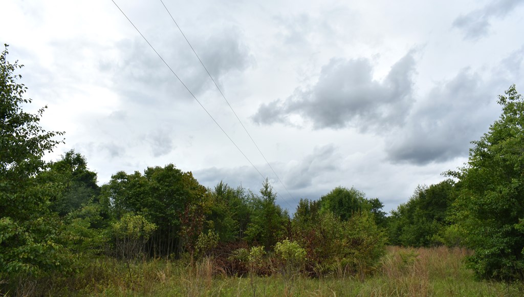 New Hope Road, Dawson, Georgia image 3