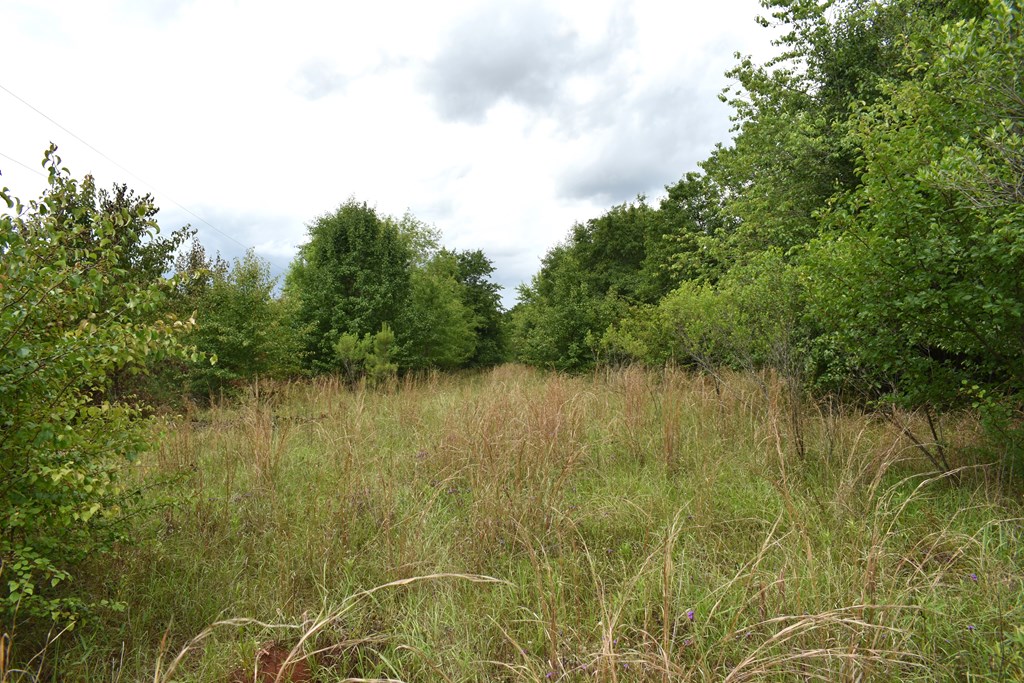 New Hope Road, Dawson, Georgia image 4