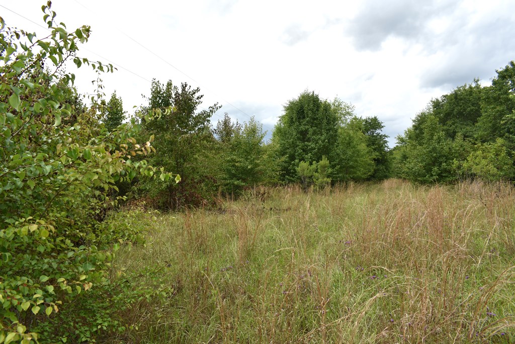 New Hope Road, Dawson, Georgia image 6