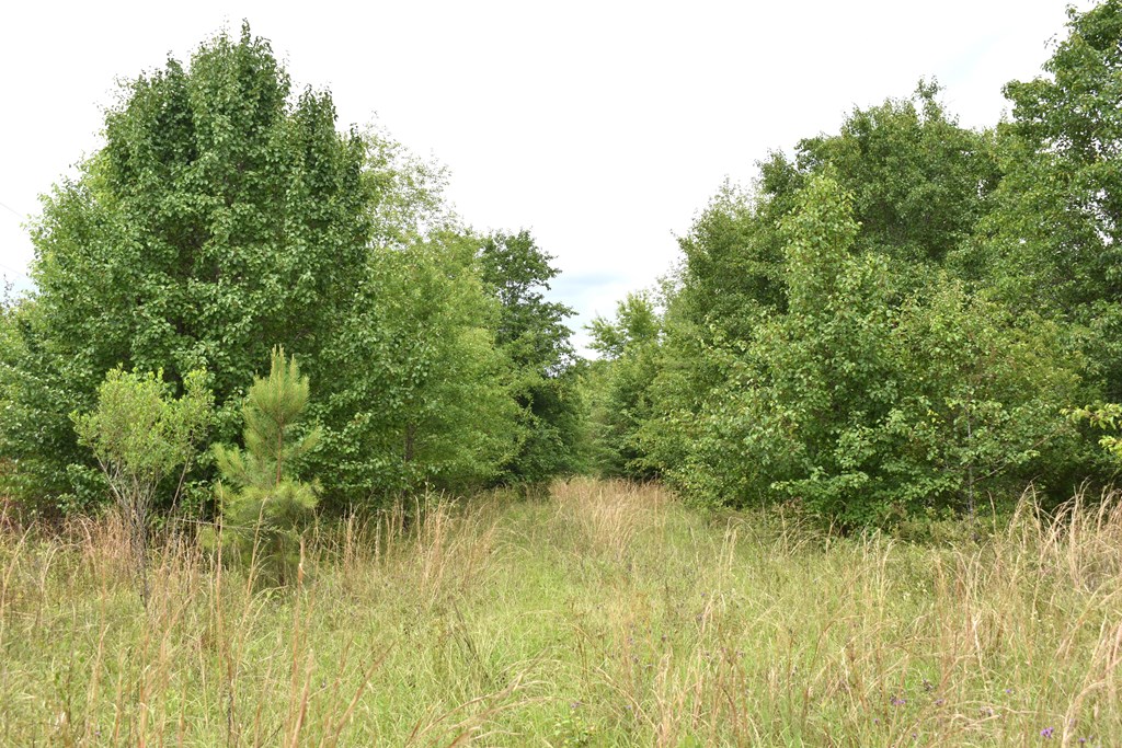 New Hope Road, Dawson, Georgia image 8