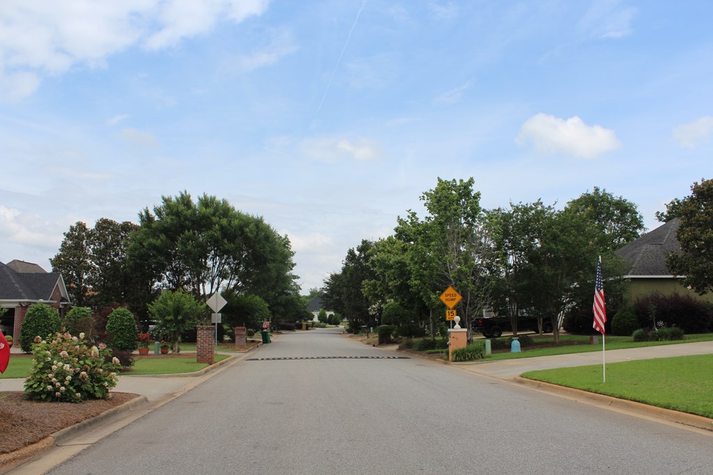 346 Osprey Ridge Court, Albany, Georgia image 28