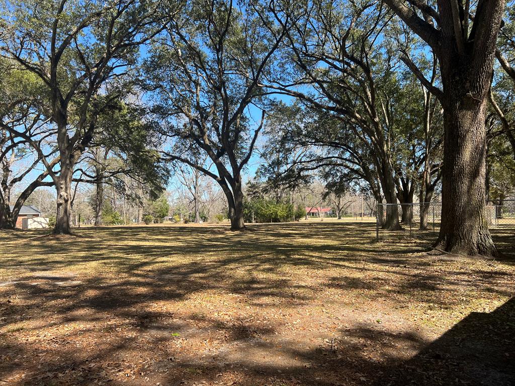 REAR YARD