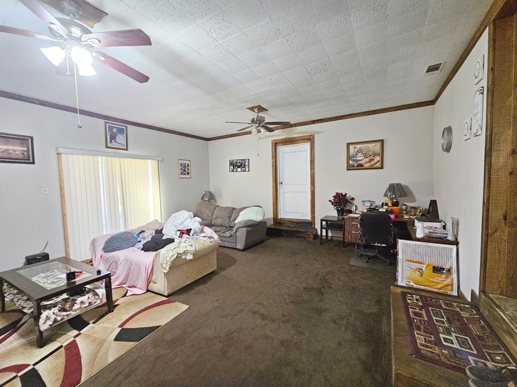 217 Flowing Well Road, Leesburg, Georgia image 4