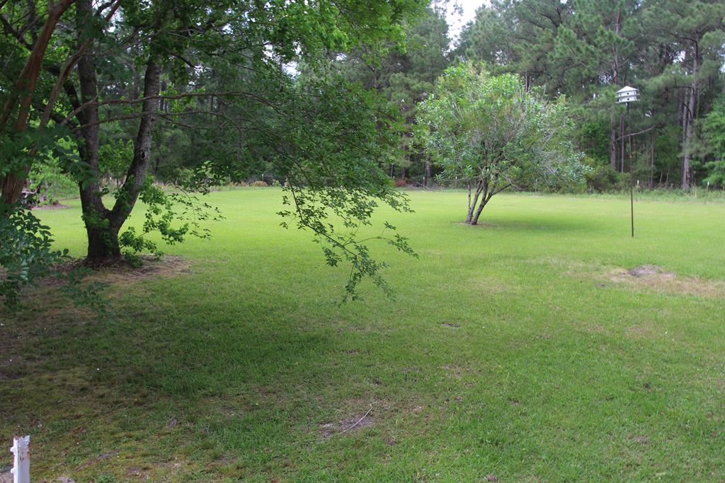 303 Pineknoll Rd, Sylvester, Georgia image 29