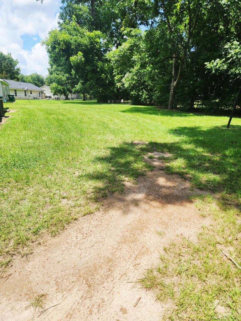 1148 Ballpark Avenue, Dawson, Georgia image 11