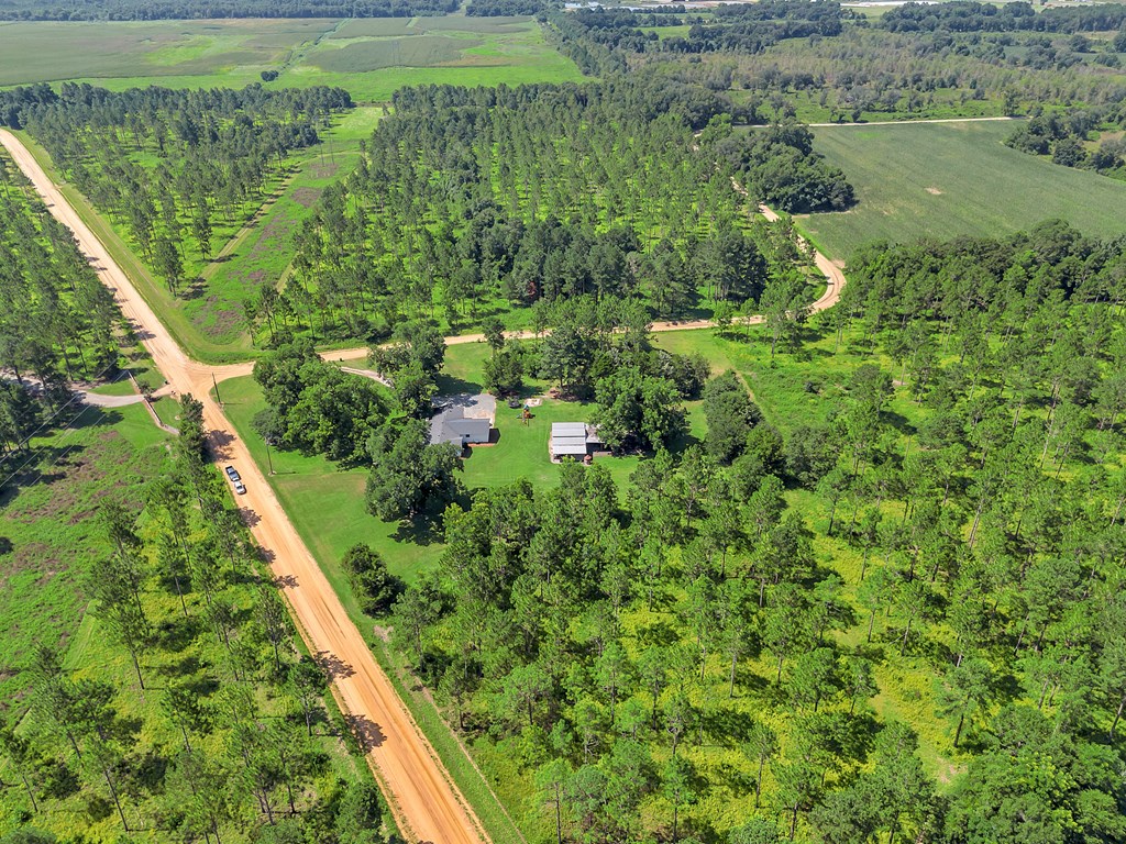357 Dixie Road, Leesburg, Georgia image 4