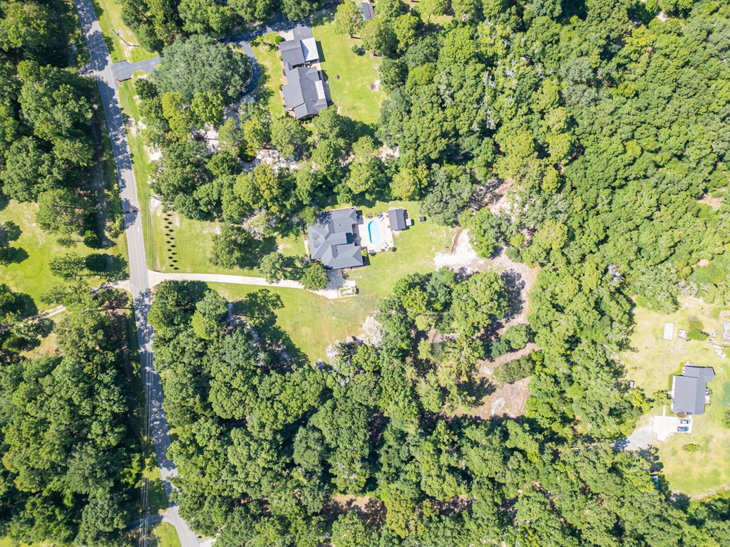 178 Old Stage Road, Leesburg, Georgia image 3