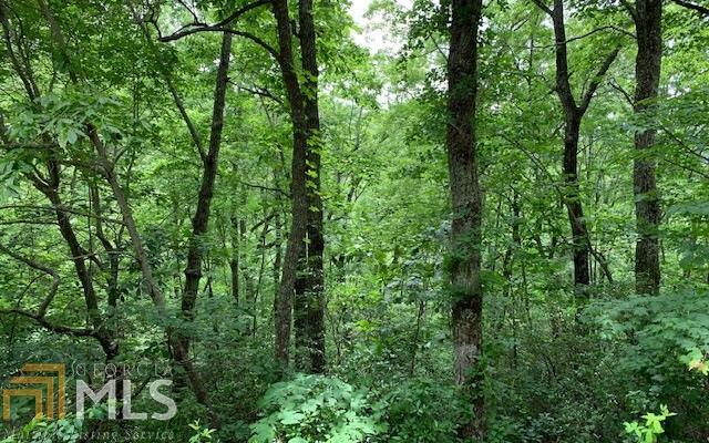 LOT 50A Eagles View, Hayesville, North Carolina image 1