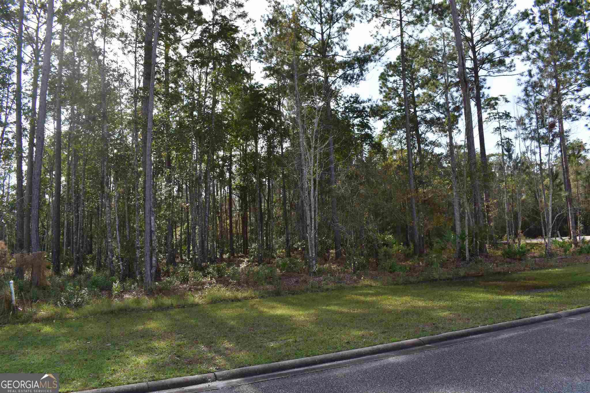 104 Baiter Court, Saint Marys, Georgia image 3