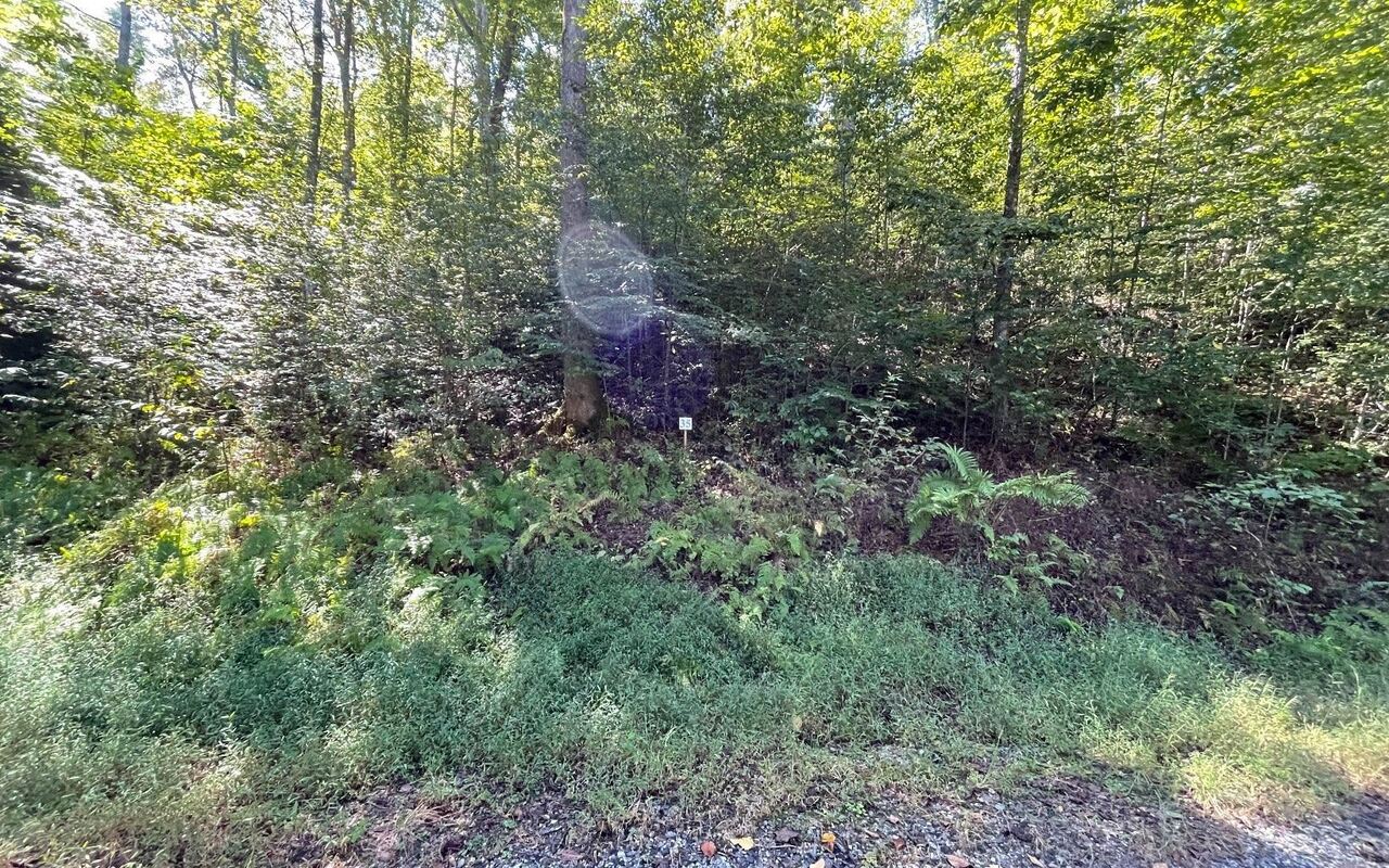 LOT 35 Hidden River, Hayesville, North Carolina image 32