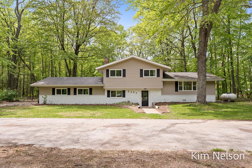 5203 Nestrom Road , Whitehall, Michigan image 1