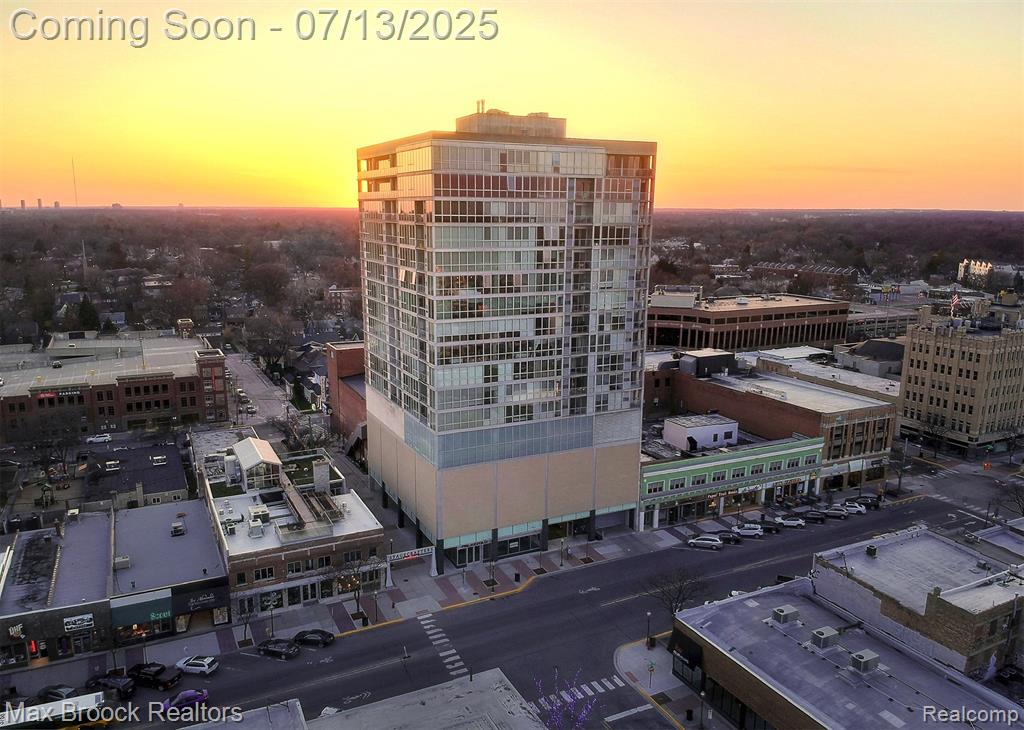 432 S Washington Avenue  #1402, Royal Oak, Michigan image 1