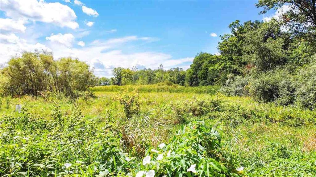 Lot 25 Northern Pintail Drive , Hemlock, Michigan image 1