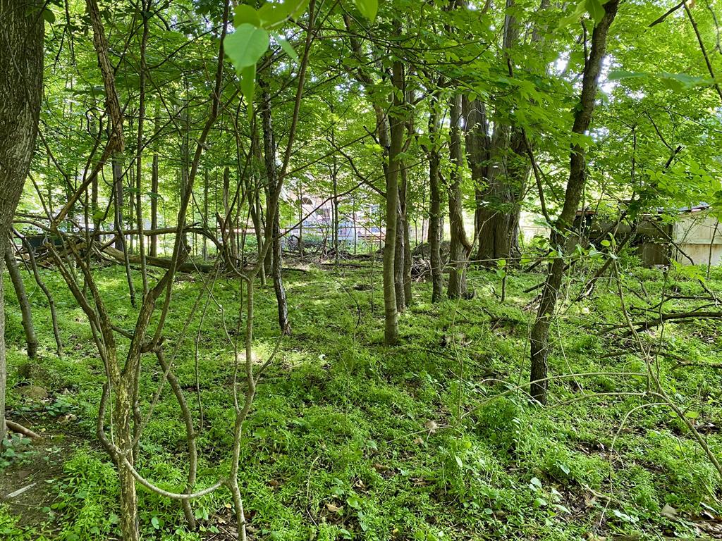 78 Wiley Road , Douglas, Michigan image 1