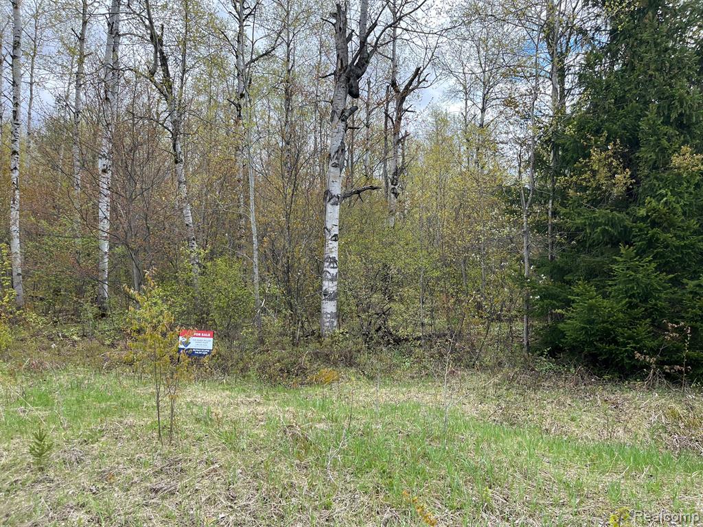 00 Pineview Drive , Elmira, Michigan image 1