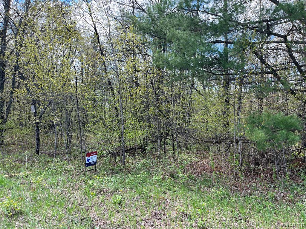 0000 Pineview  Drive , Elmira, Michigan image 1