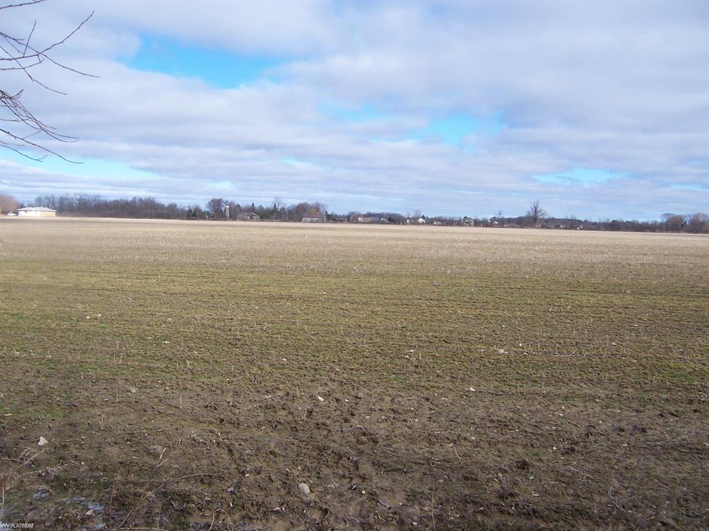 Lot G Carroll Rd Road , Columbus, Michigan image 1