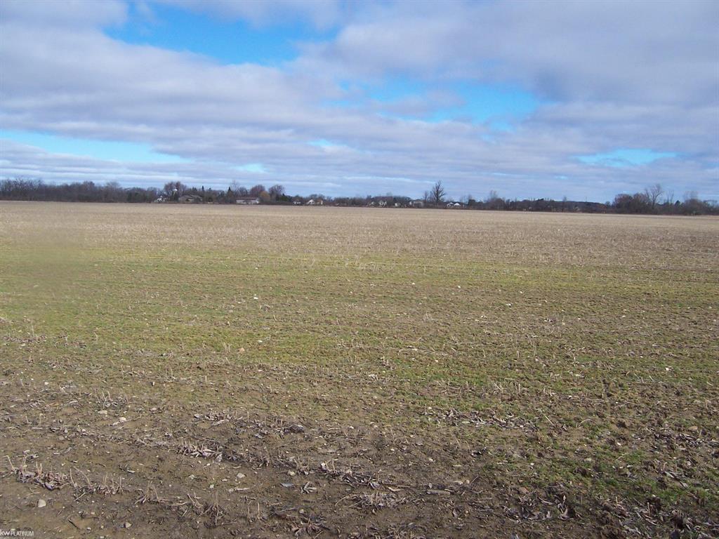 Lot H Carroll Rd Road , Columbus, Michigan image 1