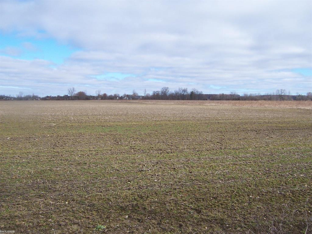 Lot I Carroll Rd Road , Columbus, Michigan image 1