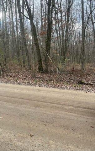 Lot 2 Wicker Road Se, Stanton, Michigan image 1