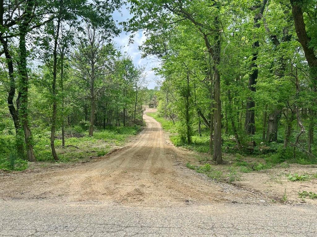 2 Acres Bair Lake Street , Jones, Michigan image 1