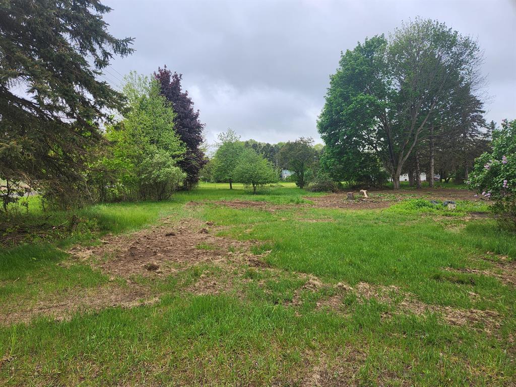 6239 N Caris Road , Vestaburg, Michigan image 1