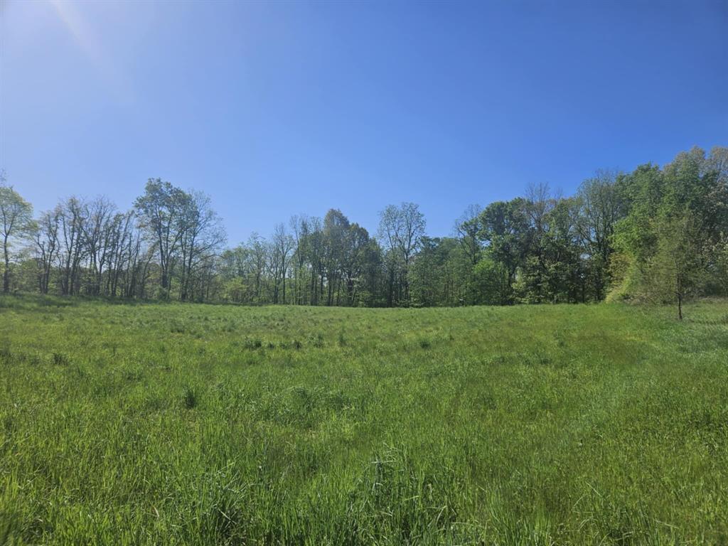 Jones Road , Bellevue, Michigan image 1