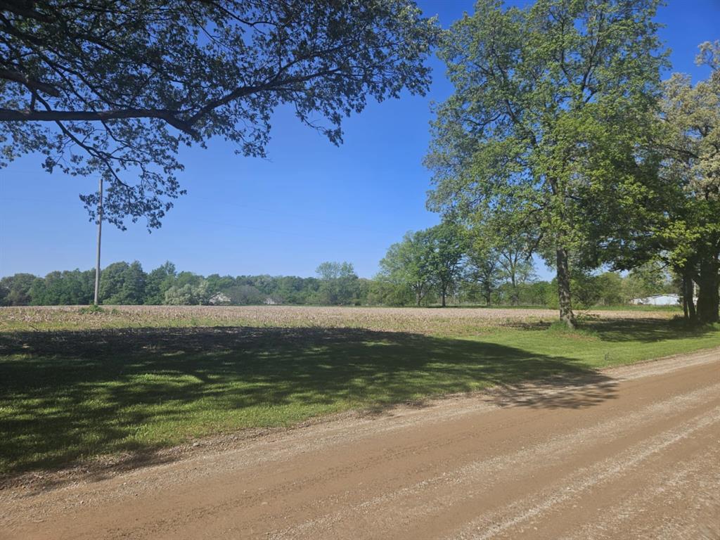 Jones Road , Bellevue, Michigan image 1