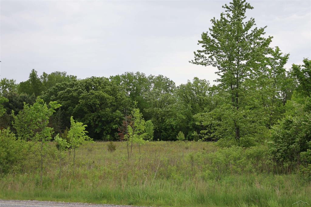 VL Beyer Road , Birch Run, Michigan image 1