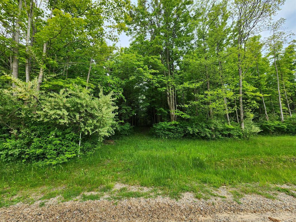 0000 Beachview Drive , South Haven, Michigan image 1
