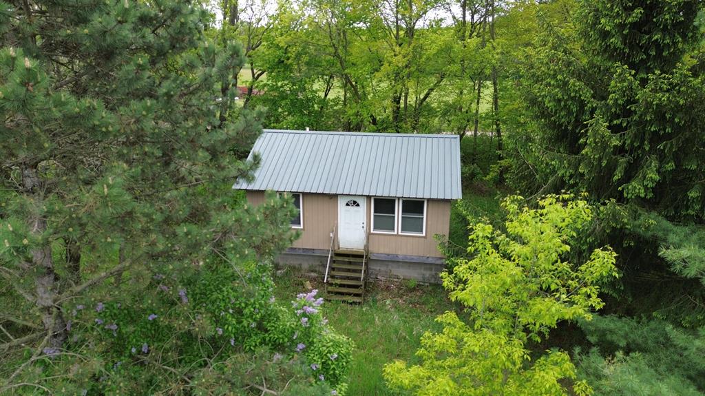 10200 N Backus Road , Lakeview, Michigan image 1