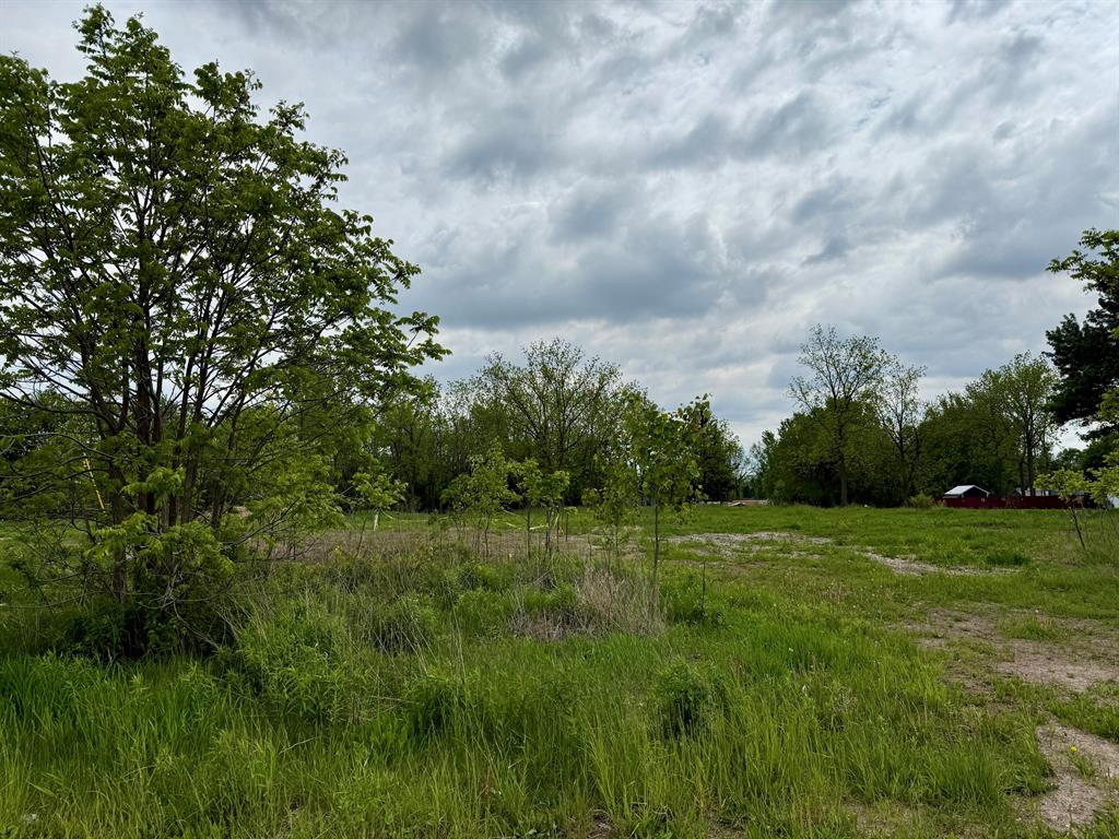 2951 Bonanza Road , Lake Odessa, Michigan image 1