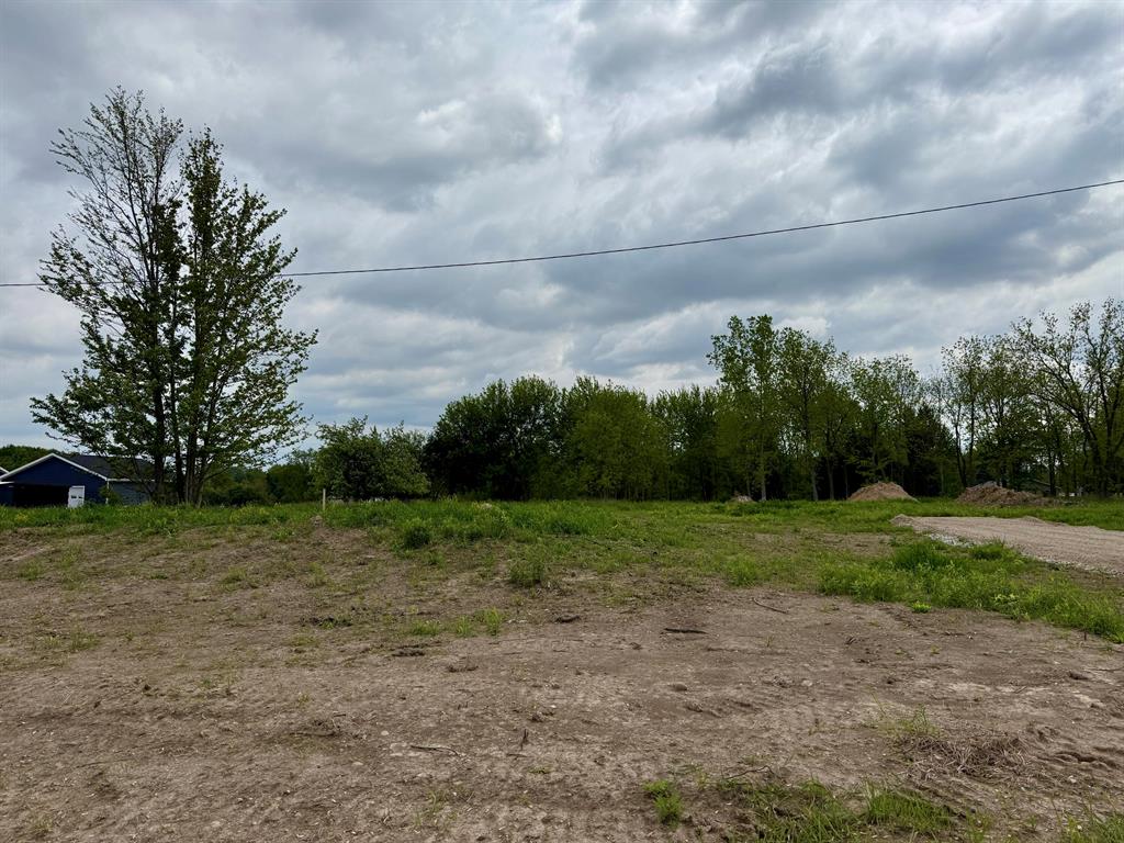 2917 Bonanza Road , Lake Odessa, Michigan image 1