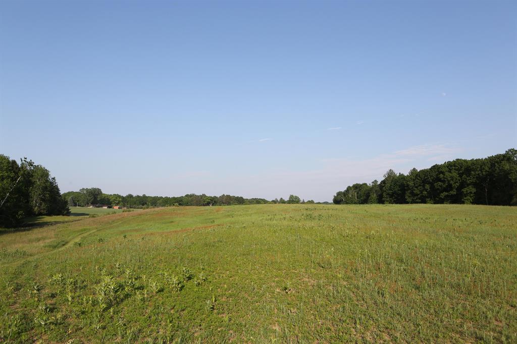 10750 N Gravel Ridge Rd C  , Lakeview, Michigan image 1
