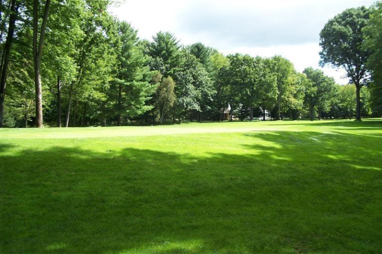 9406 Clubhouse Drive W, Stanwood, Michigan image 1