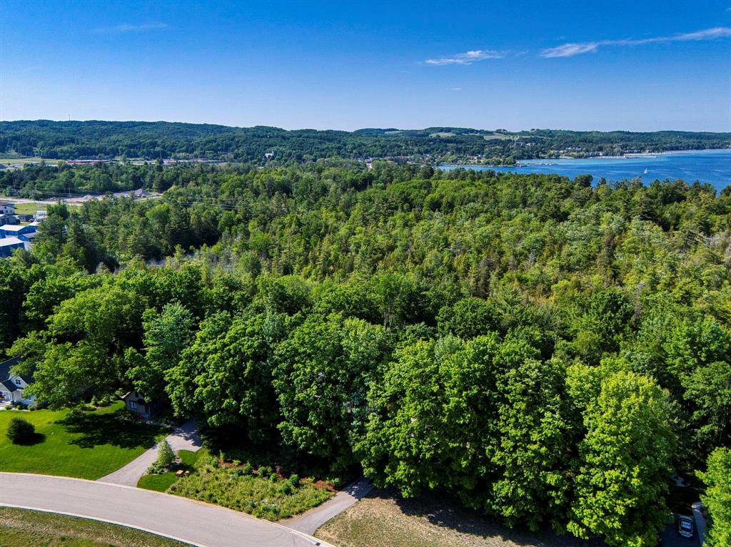 Unit 5 E Ora Lee Lane , Suttons Bay, Michigan image 1