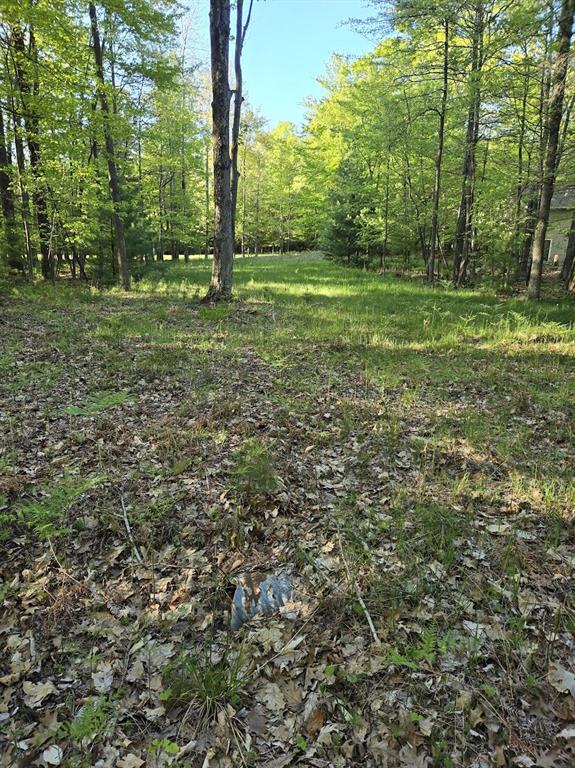 Lot 5 & 14 N Ridge Road , Mears, Michigan image 1