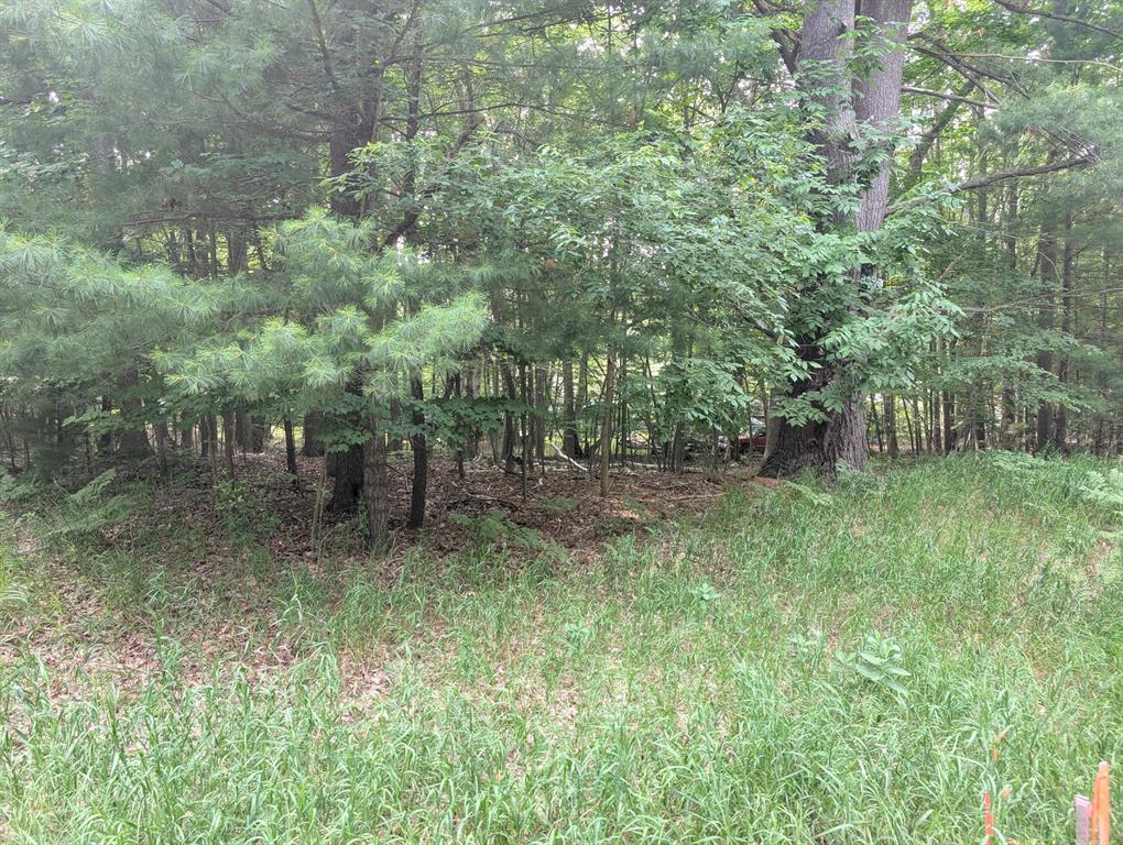 V/L Tamarack Road , Ludington, Michigan image 1