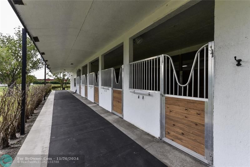 14390 Palm Beach Point Boulevard, Wellington, Florida image 22
