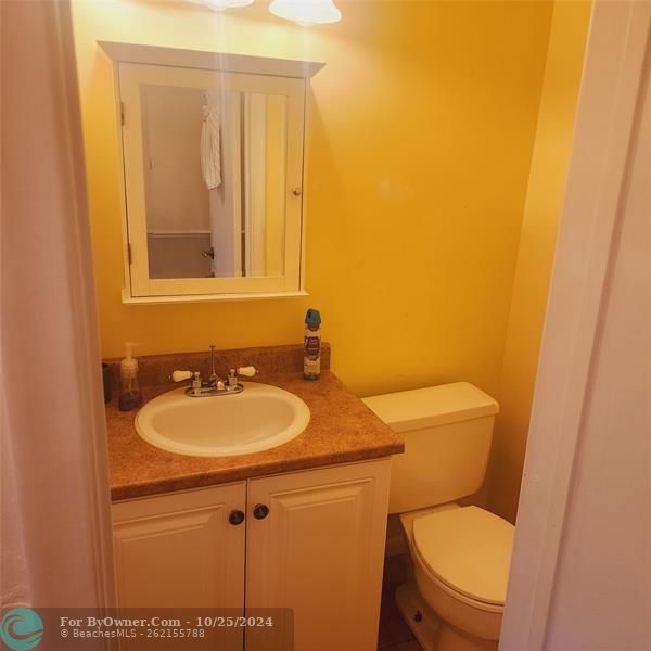 Guest bathroom