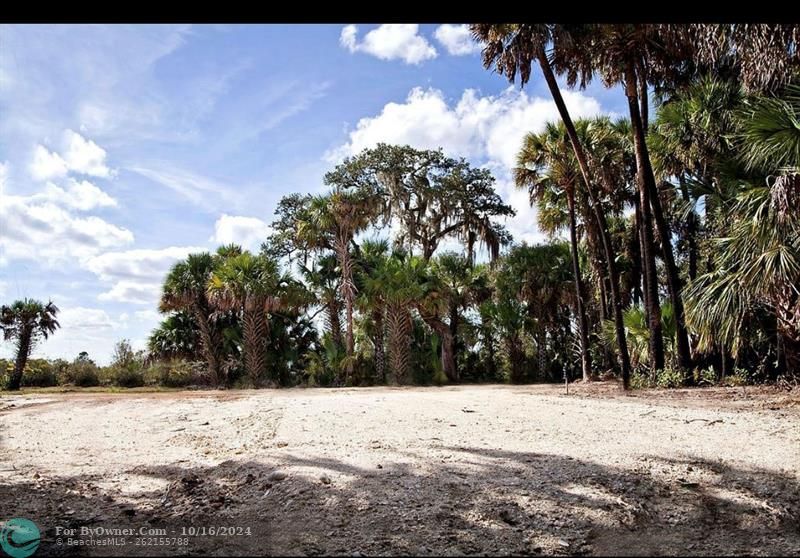 17120 NW 306th St, Okeechobee, Florida image 4