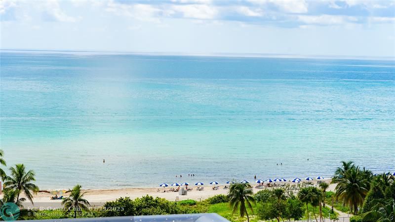 5225 Collins Ave #1417, Miami Beach, Florida image 18
