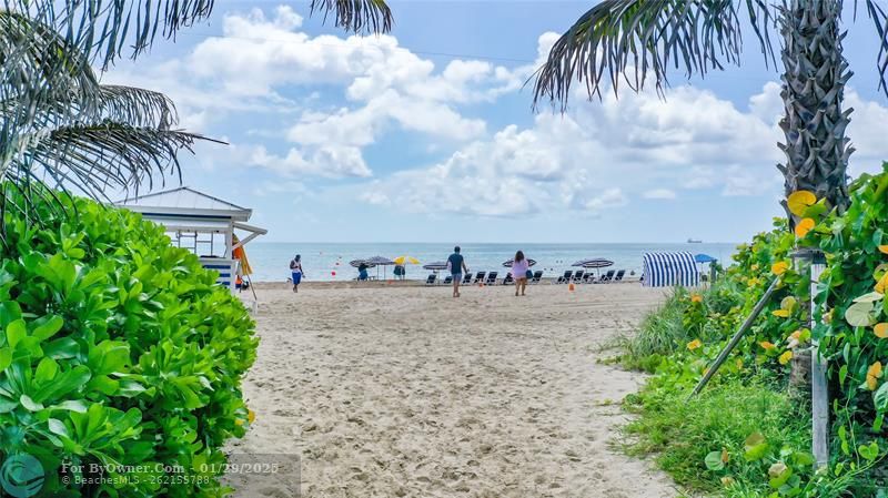 5225 Collins Ave #1417, Miami Beach, Florida image 3